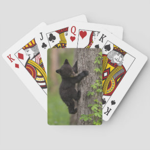 Jeu De Cartes Jeune ourson noir grimpant à un arbre