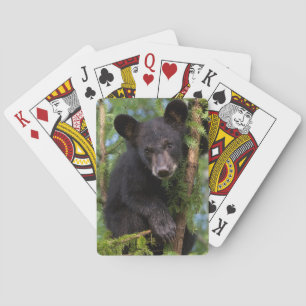 Jeu De Cartes Jeune ourson noir jouant dans les arbres