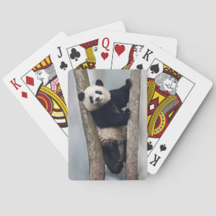 Jeu De Cartes Jeune panda grimpant à un arbre, Chine