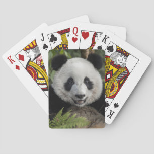 Jeu De Cartes Jeune panda heureux, Chine