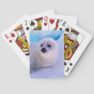 Jeu De Cartes Jeune phoque à harpe couvert de flocons de neige