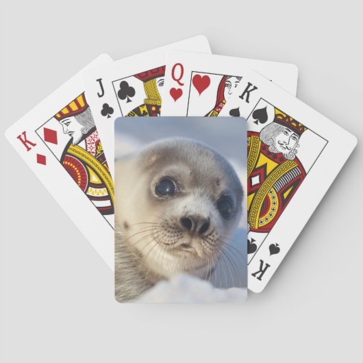 Jeu De Cartes Jeune phoque de harpé (dos)