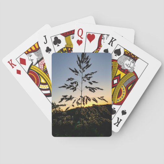 Jeu De Cartes Johnson Grass (dos)