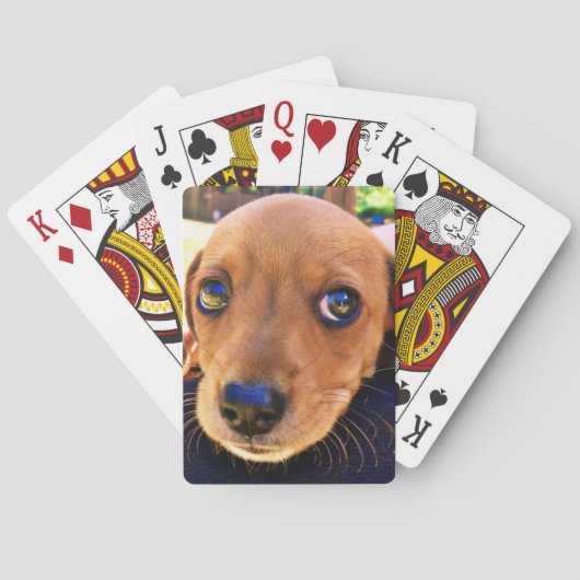 Jeu De Cartes Joli chien chiot Brown Dachshund (dos)