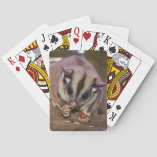 Jeu De Cartes Joli Pet Pet Sucre Glider Manger