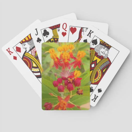 Jeu De Cartes Jolie florale colorée avec Milkweed Art Imprimer (dos)