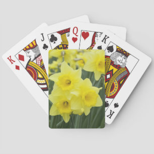 Jeu De Cartes Jonquilles RF)