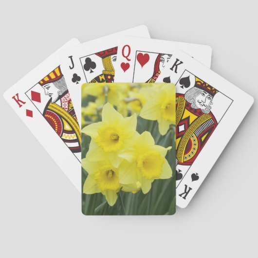 Jeu De Cartes Jonquilles RF) (dos)