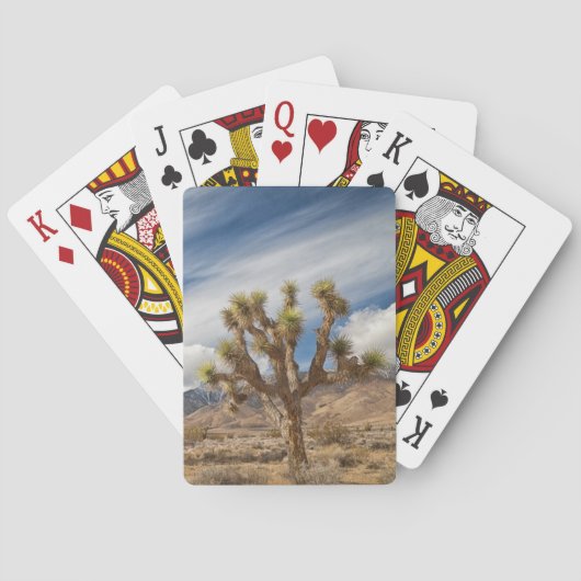 Jeu De Cartes Joshua Trees dans le désert (dos)