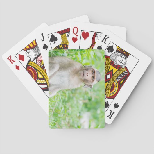 Jeu De Cartes Jote jeune Brown singe araignée (dos)