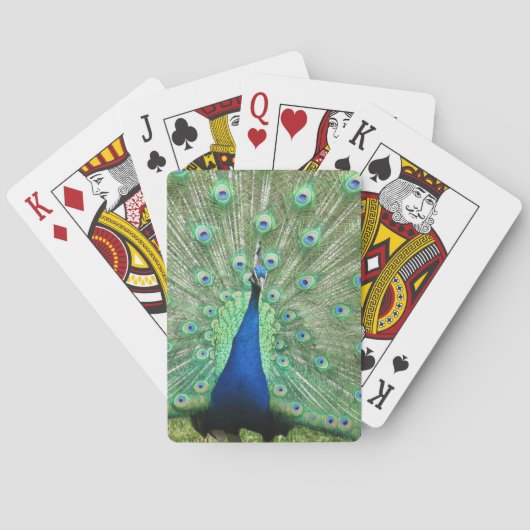 Jeu De Cartes Jouer aux cartes - Peacock (dos)