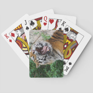 Jeu De Cartes Jouer aux cartes tigres