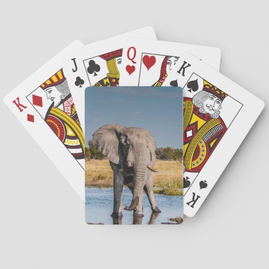 Jeu De Cartes Jouer des cartes avec l'image avant d'Elephant (dos)
