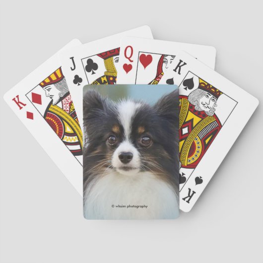 Jeu De Cartes Jouet Papillon mignonne Chien espagnol à l'quai (dos)