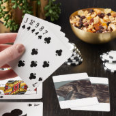 Jeu De Cartes Joueur Dave (In Situ)