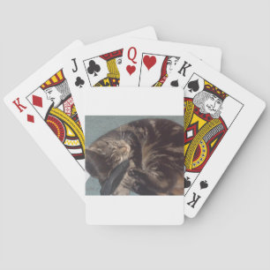 Jeu De Cartes Joueur Dave