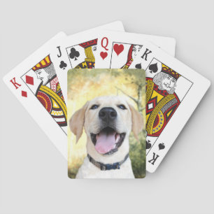 Jeu De Cartes Joyeux laboratoire jaune