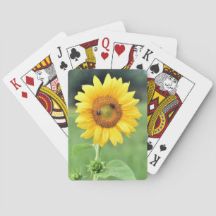 Jeu De Cartes Joyeux Tournesol Jouer Cartes