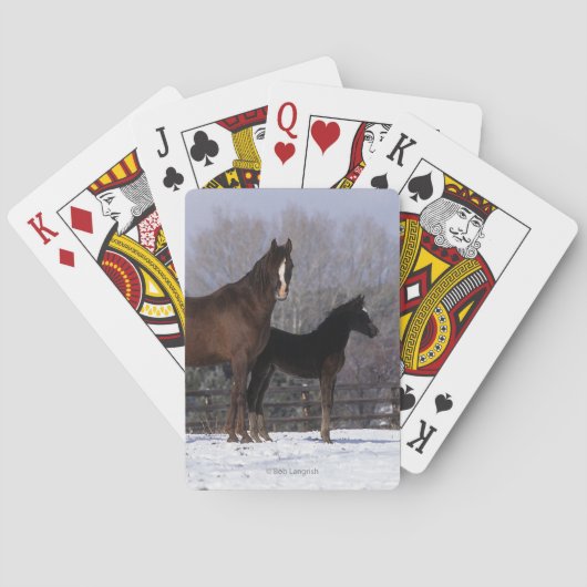 Jeu De Cartes Jument et poulain arabes dans la neige (dos)