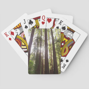 Jeu De Cartes Jusqu'aux séquoias le matin