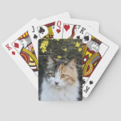 Jeu De Cartes Keepsaké Ajouter votre photo Excellente Qualité Ki (dos)