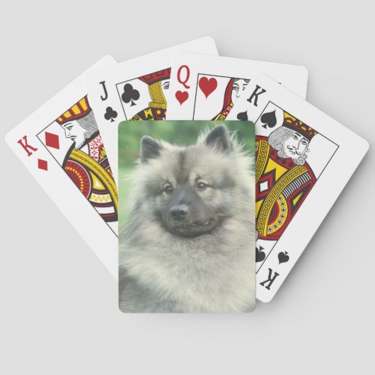 Jeu De Cartes Keeshond Chien Jouer des cartes (dos)