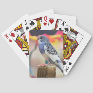 Jeu De Cartes Keet