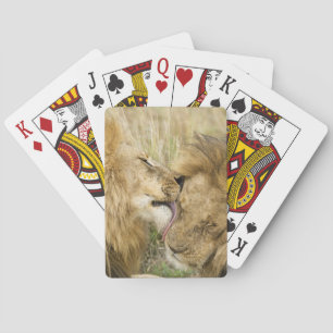 Jeu De Cartes Kenya, Masai Mara