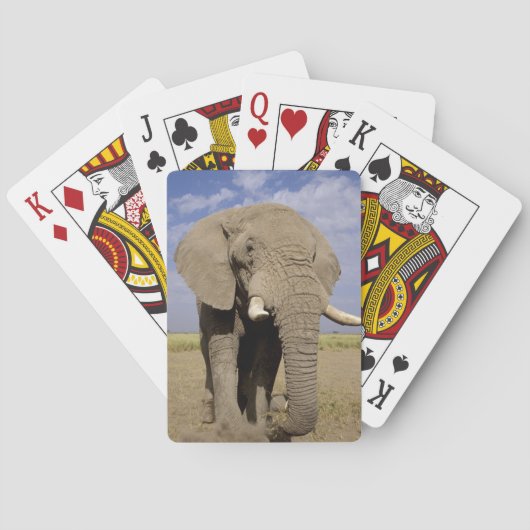 Jeu De Cartes Kenya : Parc national d'Amboseli, éléphant mâle (dos)