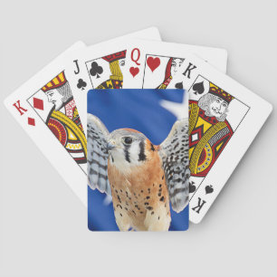 Jeu De Cartes Kestrel américain