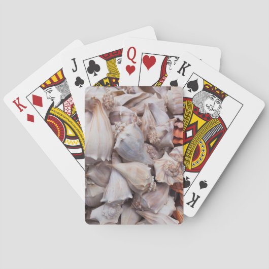 Jeu De Cartes Key West, coquillages (dos)