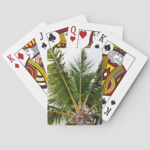 Jeu De Cartes Key West, tropical, palmier
