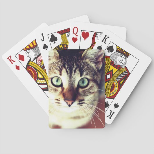Jeu De Cartes Kitten (dos)