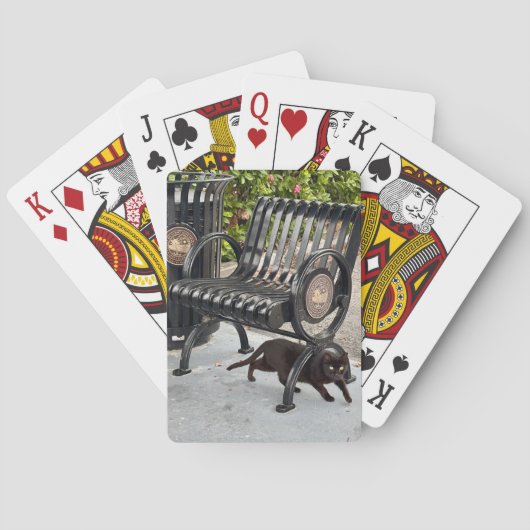 Jeu De Cartes Kitty dans le parc (dos)