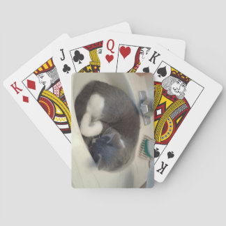 Jeu De Cartes Kitty dans l'évier