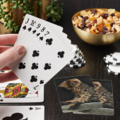 Jeu De Cartes Kitty jouant avec la queue (In Situ)