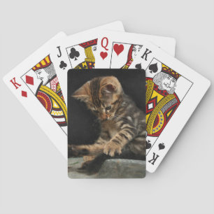 Jeu De Cartes Kitty jouant avec la queue