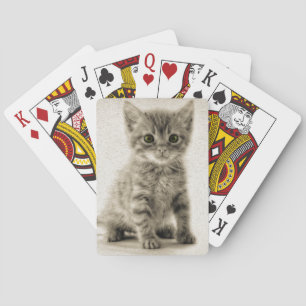 Jeu De Cartes Kitty tigré