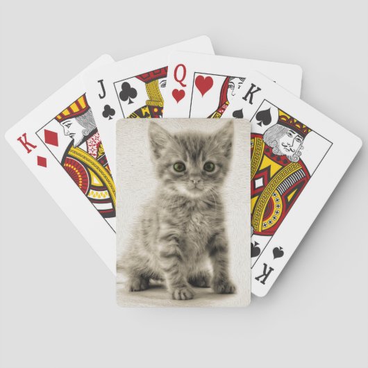 Jeu De Cartes Kitty tigré (dos)