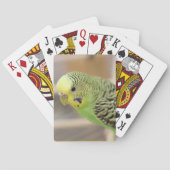 Jeu De Cartes Kiwi (dos)