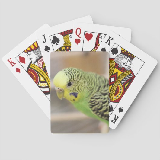 Jeu De Cartes Kiwi (dos)