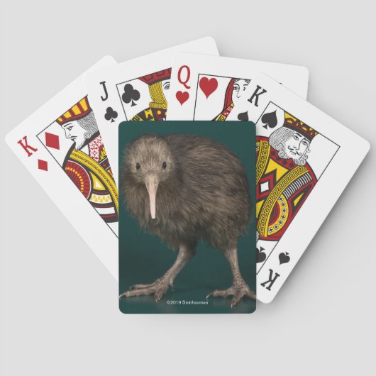 Jeu De Cartes Kiwi du nord de brun d'île (dos)