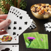 Jeu De Cartes Knapweed (In Situ)