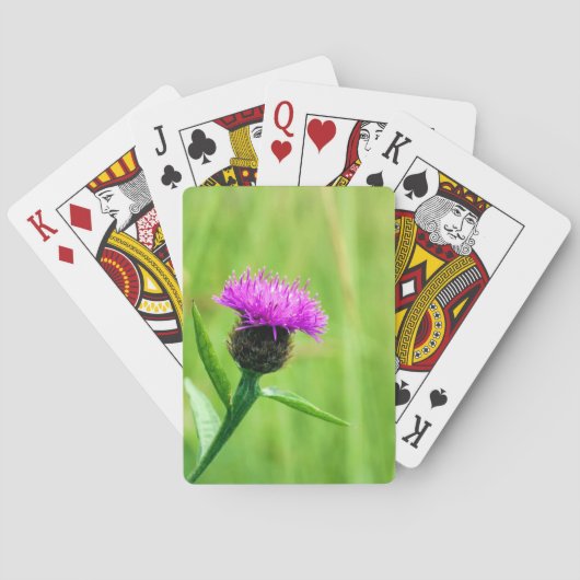 Jeu De Cartes Knapweed (dos)