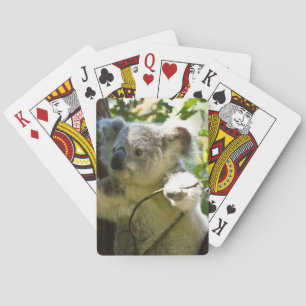 Jeu De Cartes koala