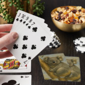 Jeu De Cartes Koala à la lumière calme (In Situ)