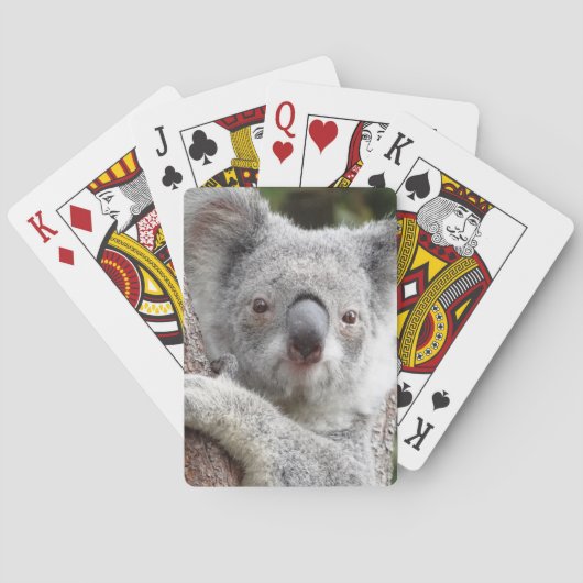 Jeu De Cartes Koala australien (dos)