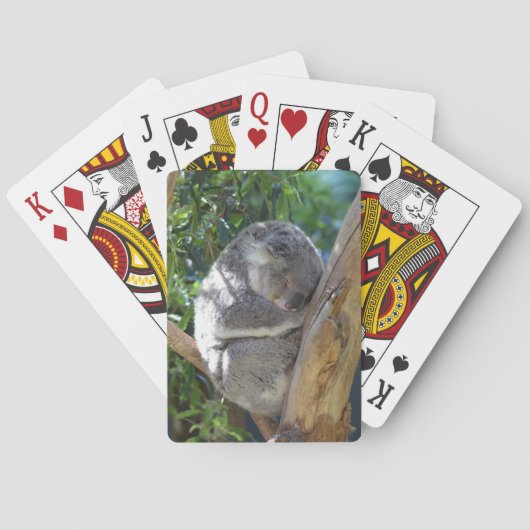 Jeu De Cartes Koala endormi dans l'arbre (dos)