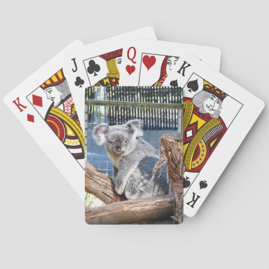 Jeu De Cartes Koala Jouer aux cartes (dos)