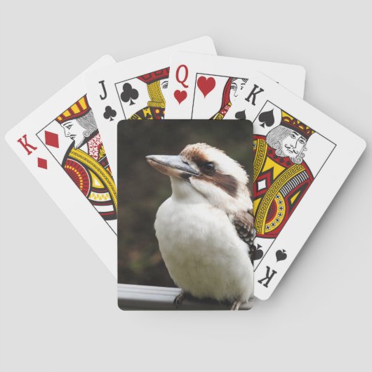 Jeu De Cartes Kookaburra (dos)